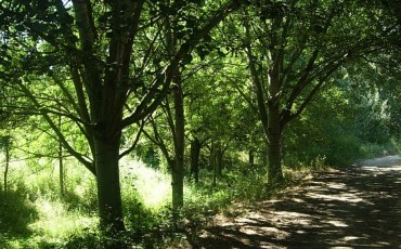 Parque-Natural-de-Collserola